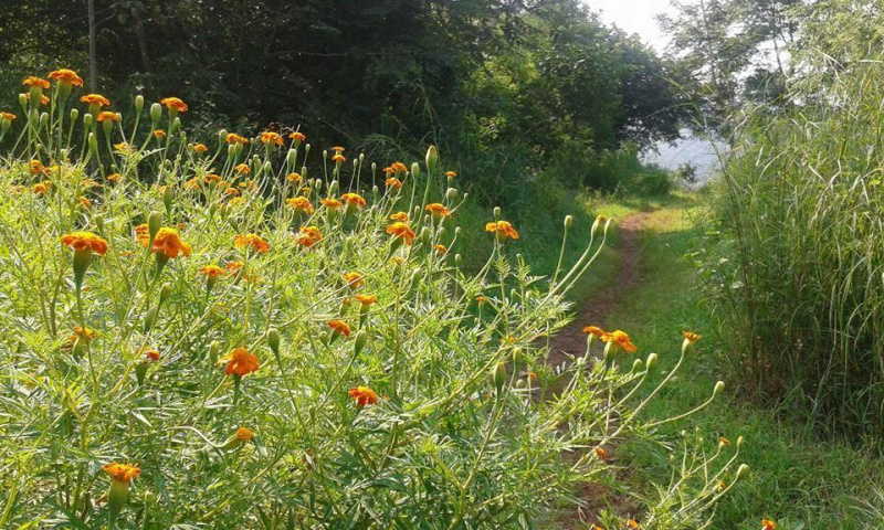 20638016_127484484536795_6495068620193742416_n